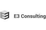 E3 Consulting